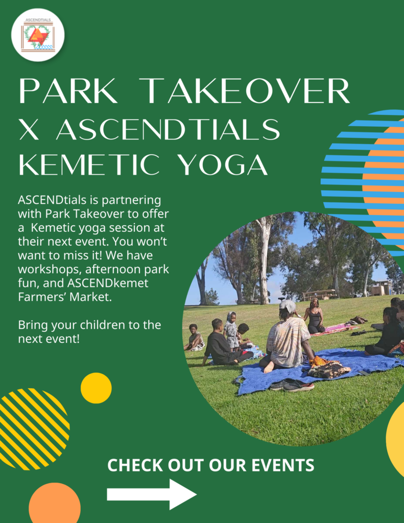 Park Takeover Flyer