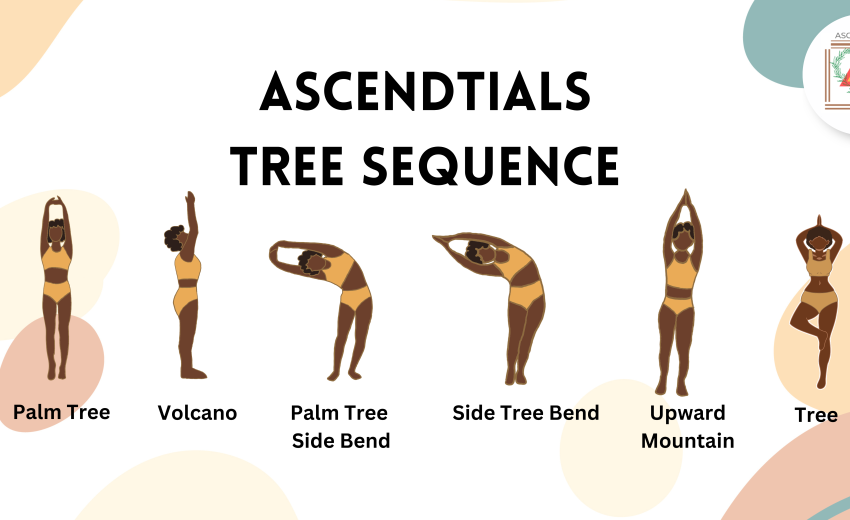 Tree Sequence yoga