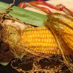 corn on the cob, corn, corn hair-1715715.jpg